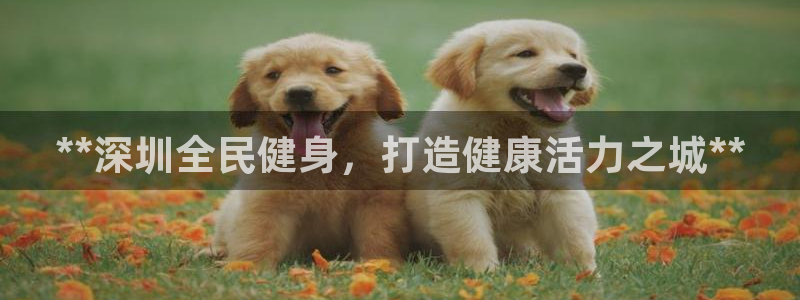 尊龙新版app首页：**深圳全民健身，打造健康活力之城*