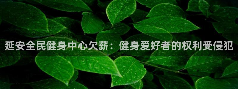 尊龙集团有限公司招聘：延安全民健身中心欠薪：健身爱好者的