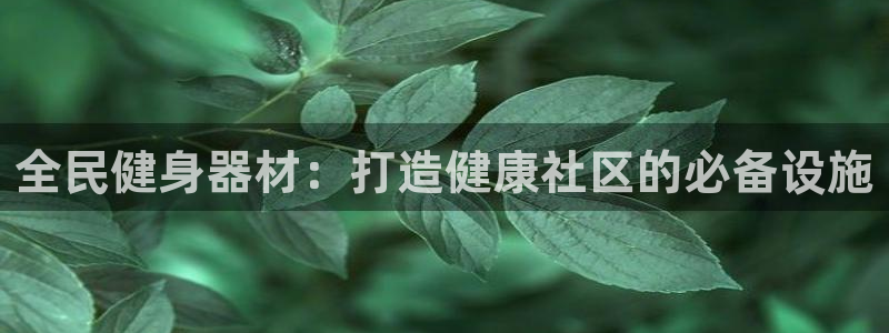 尊龙官网APP下载：全民健身器材：打造健康社区的必备设施