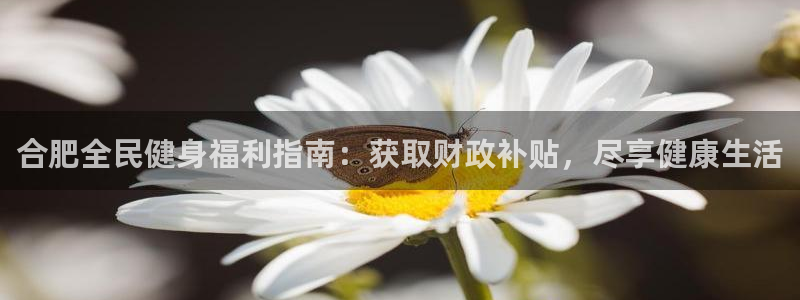 尊龙人生就是博网站下载：合肥全民健身福利指南：获取财政补