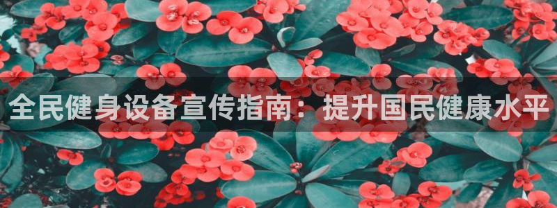 尊龙凯时平台有没有不到账的：全民健身设备宣传指南：提升国